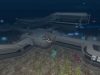 undersea-orca