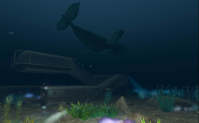 undersea-blue-whale-2